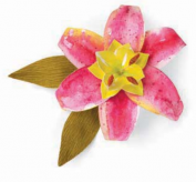 Troquel Sizzix E660696