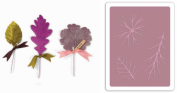 Textura Sizzix E660697