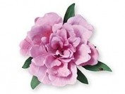 Troquel Sizzix 658423