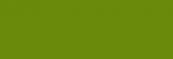 Anilina Acuarela Líquida Ecoline - Verde Bronceado