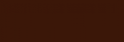 Acrílico Rembrandt 40ml SERIE 1 - Burnt Umber