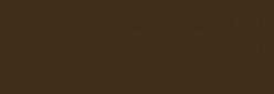 Pintura Encáustica R&F S1 40 ml - Raw Umber