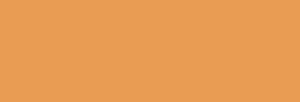 Pintura Encáustica R&F S3 40 ml - Brillant Jaune