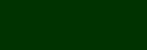 Pintura Pizarra Negra Pébéo 250 ml - Sherwood Dark