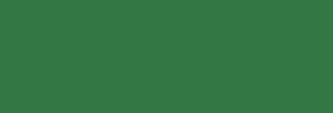 Pintura Pizarra Negra Pébéo 250 ml - Holly Green