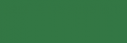 Pintura Pizarra Negra Pébéo 250 ml - Holly Green