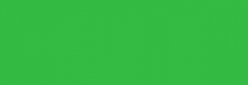Pintura Pizarra Negra Pébéo 250 ml - Medium Green