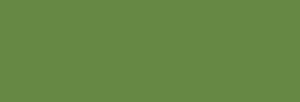 Pintura Pizarra Negra Pébéo 250 ml - Olive Moss