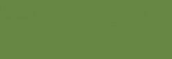 Pintura Pizarra Negra Pébéo 250 ml - Olive Moss