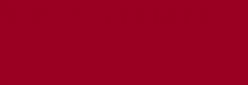 Pintura Pizarra Negra Pébéo 250 ml - Burgundy