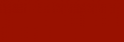 Pintura Pizarra Negra Pébéo 250 ml - Fire Thorn
