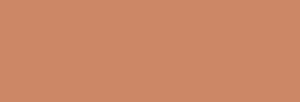 Pintura Pizarra Negra Pébéo 250 ml - Native Flesh