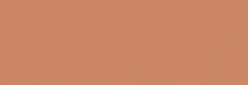 Pintura Pizarra Negra Pébéo 250 ml - Native Flesh