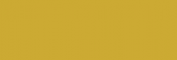 Pintura Pizarra Negra Pébéo 250 ml - Goldenrod