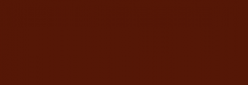 Pintura Effecto Magnético Pebeo 250 ml - Marron