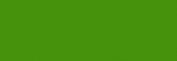 Dupont Classique Pintura para Seda y Lana 125 ml - Vert Feuillage