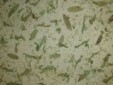 Papel Hojas Verde 10201
