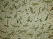 Papel Hojas Verde 10201