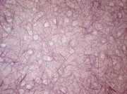 Papel Fibra de Abaca Lila 18012