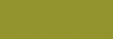 Papel Canson Mi-Teintes para pastel 50x65 10 h - Vert Amande