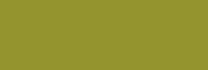 Papel Canson Mi-Teintes para pastel 50x65 10 h - Vert Amande