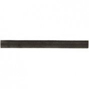 Tiza carbón PITT Monochrome extra blanda