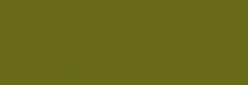 Copic Ciao Rotulador - Olive