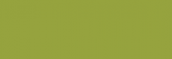 Copic Ciao Rotulador - Pea Green