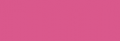 ProMarker Winsor&Newton Rotuladores - Dusky Rose