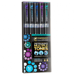 Chameleon Rotuladores 5 rotuladores CT0502