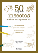 Dibujos de Insectos Arañas Escorpiones
