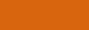 FIMO Soft 56gr - Cognac