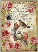 Papel de Arroz Stamperia dfsa4016