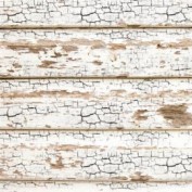 Papel de Arroz Stamperia DFT297