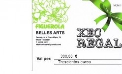 Cheque Regalo por valor de 300 euros