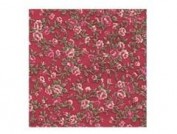 Tela Adhesiva DFSF01