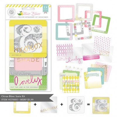 Marcos Decorativos para Scrap Pinkpaislee 370660