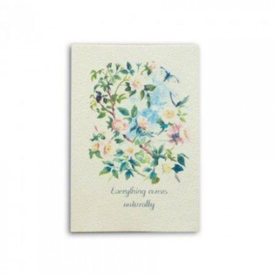 Etiqueta Adhesiva Dailylike LKX01
