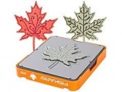 Conjunto de Troquel Texturas y Estampación Fuse F0108